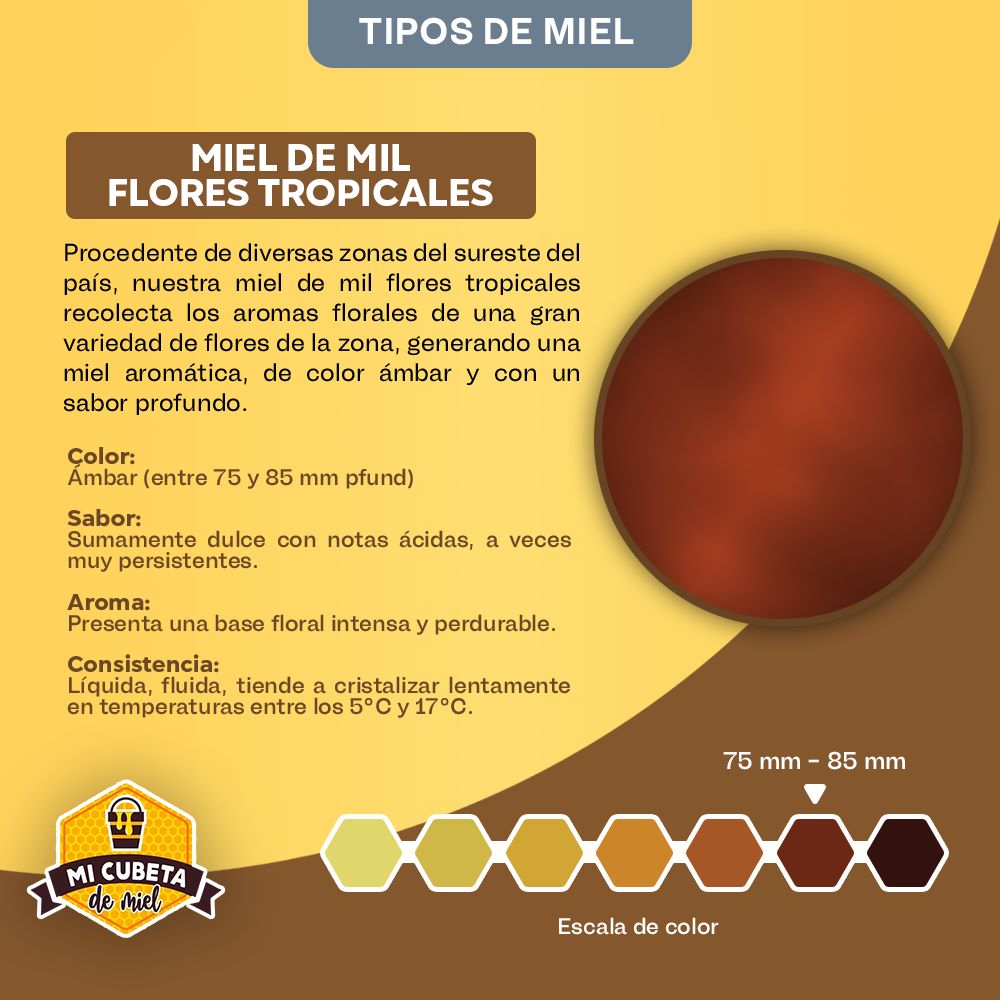 Panal de miel x 350 g - Miel panal de Mil Flores con aroma floral